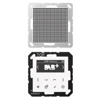 Jung Smart Radio DAB+ Set Mono Serie AS/A alpinweiß