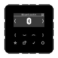 Jung Smart Radio DAB+ Bluetooth Serie CD schwarz