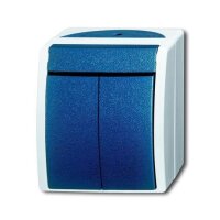 Busch-Jaeger 2601/5 W-53 Wippschalter Serienschaltung...
