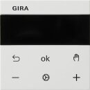 Gira 539303 System 3000 RTR Display System 55...