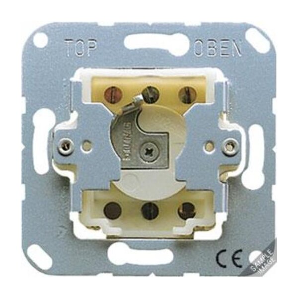 Jung Schlüsselschalter mit Demontageschutz Taster (Wechsler) 1-pol.