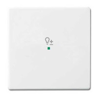 Busch-Jaeger 6234-10-84 Wippe 1-fach Symbol Dimmer...