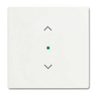 Busch-Jaeger 6232-10-884 Wippe 1-fach Symbol Jalousie...